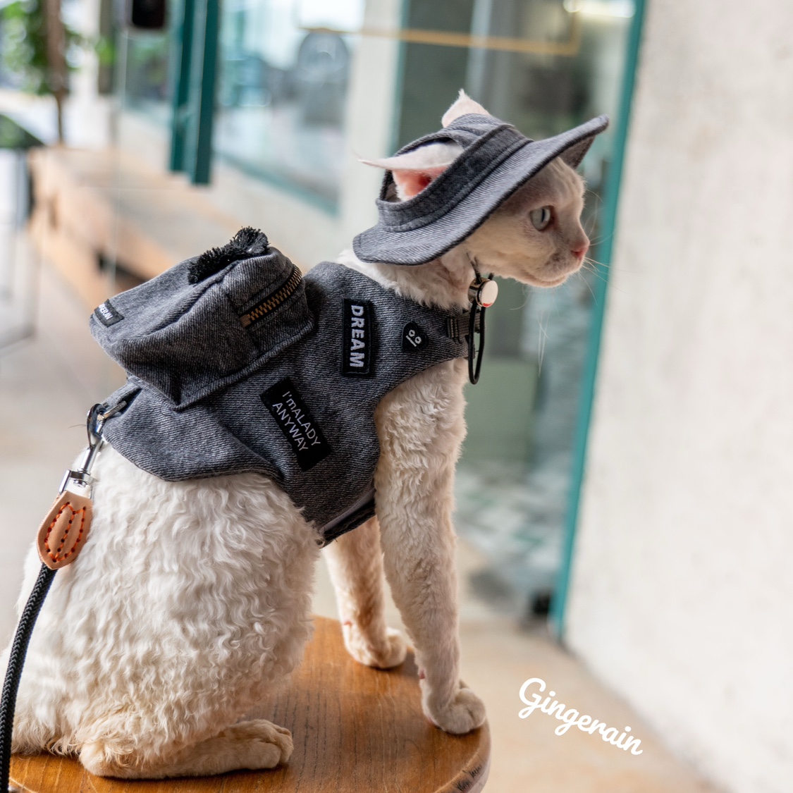 Luxury Bags Cute - Buatan tangan mewah perjalanan kucing pembawa